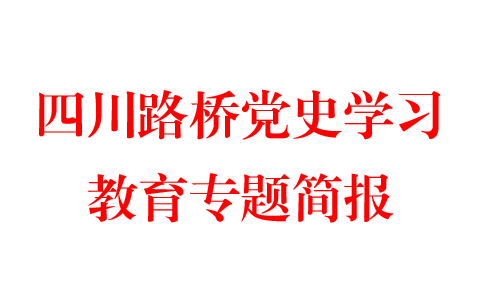 四川路橋深入開展黨史學(xué)習(xí)教育推動(dòng)重點(diǎn)工程建設(shè)再提速